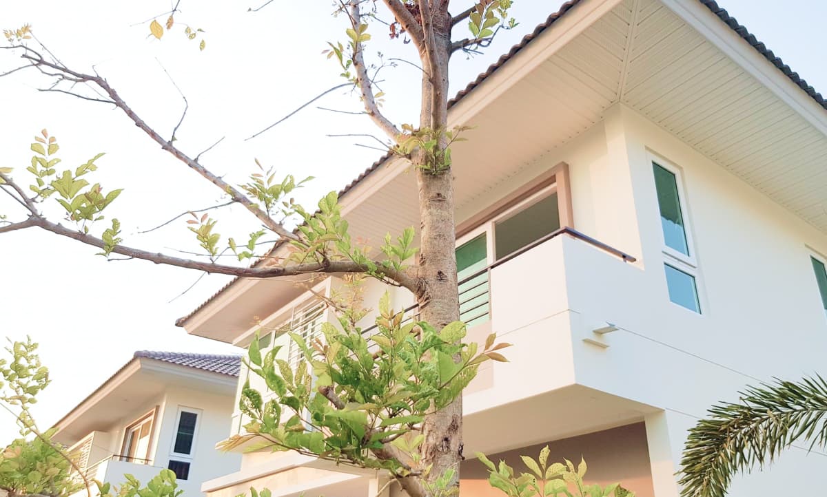 ศุภาลัย วิลล์ อุบลราชธานี ภาพที่ 5