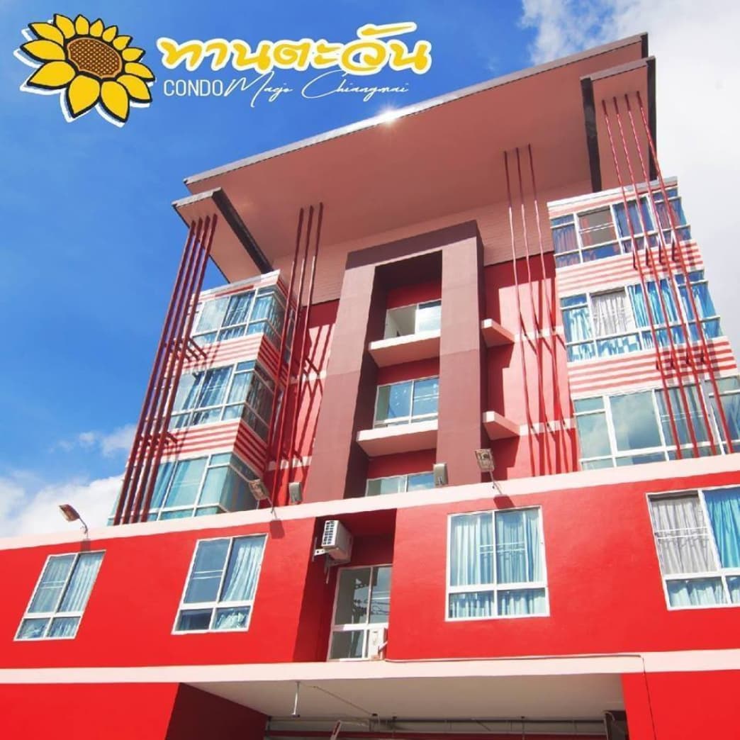 ทานตะวันคอนโด แม่โจ้ ภาพที่ 3